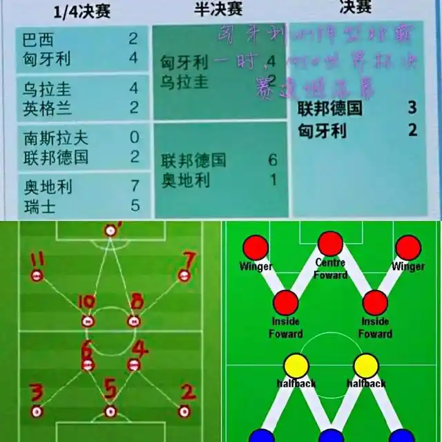 世界杯冠军 足球归谁_世界足球杯的冠军奖杯叫什么_足球杯世界杯冠军