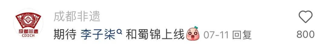 李子柒会的技能_李子柒技能生活怎么样_李子柒的生活技能
