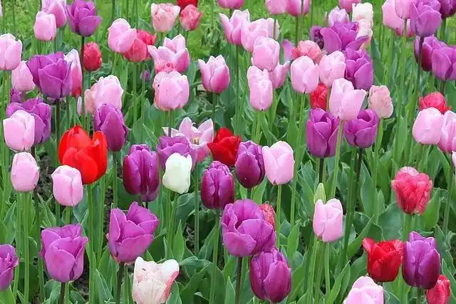 花钱节省的生活方式_花钱节省时间_节省花钱的好处