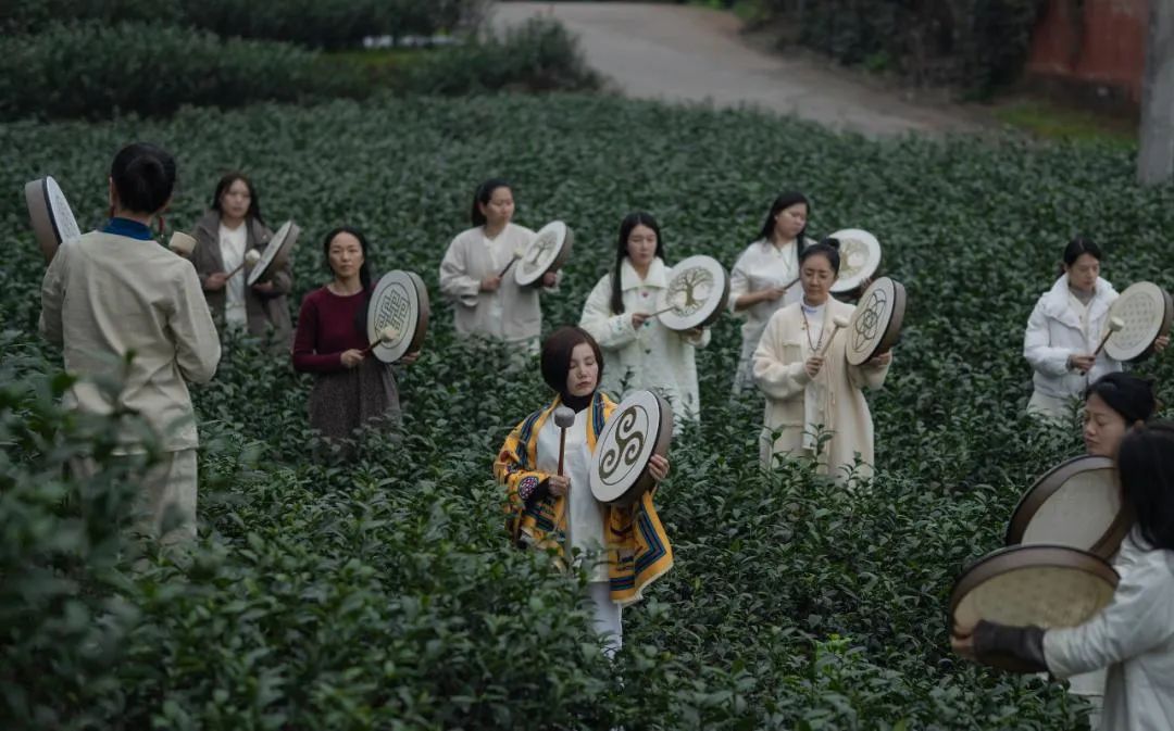 亚健康人群越来越多_亚健康人群怎么赚钱_亚健康人群增加