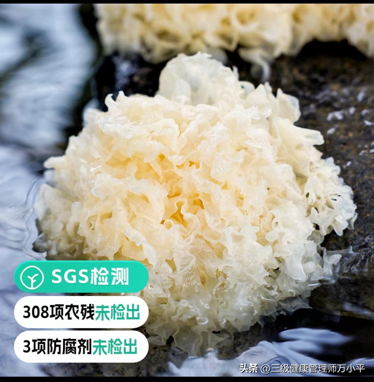 亚健康人群怎么赚钱_亚健康人群越来越多_亚健康人群增加