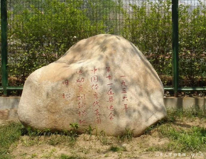 篮球山东冠军有哪些_篮球山东冠军名单_山东篮球几个冠军