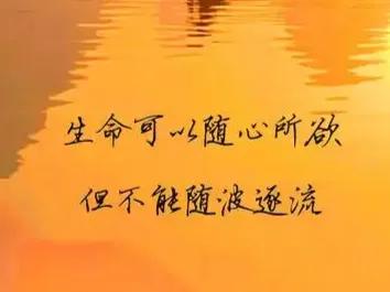 随波逐流的现代人生活方式_随波逐流的现象_现代随波逐流的例子